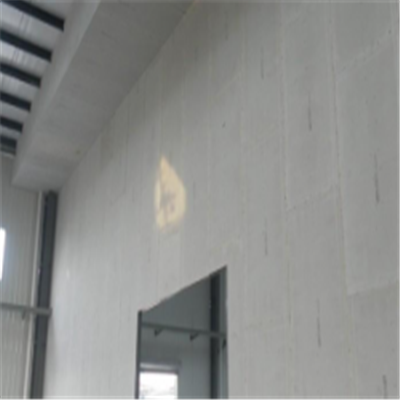 崇仁新型建筑材料掺多种工业废渣的ALC|ACC|FPS模块板材轻质隔墙板